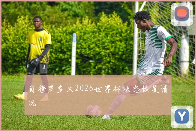 肖穆罗多夫2026世界杯状态恢复情况