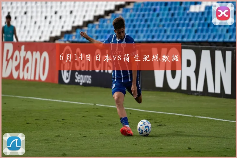 6月14日日本vs荷兰犯规数据