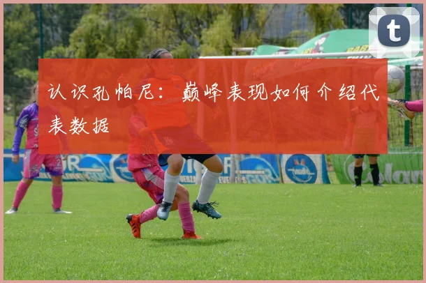 认识孔帕尼:巅峰表现如何介绍代表数据