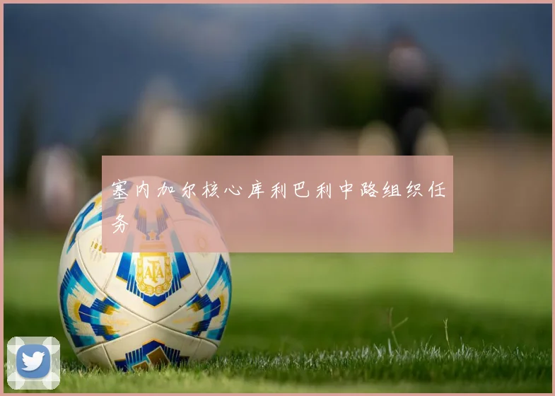 塞内加尔核心库利巴利中路组织任务
